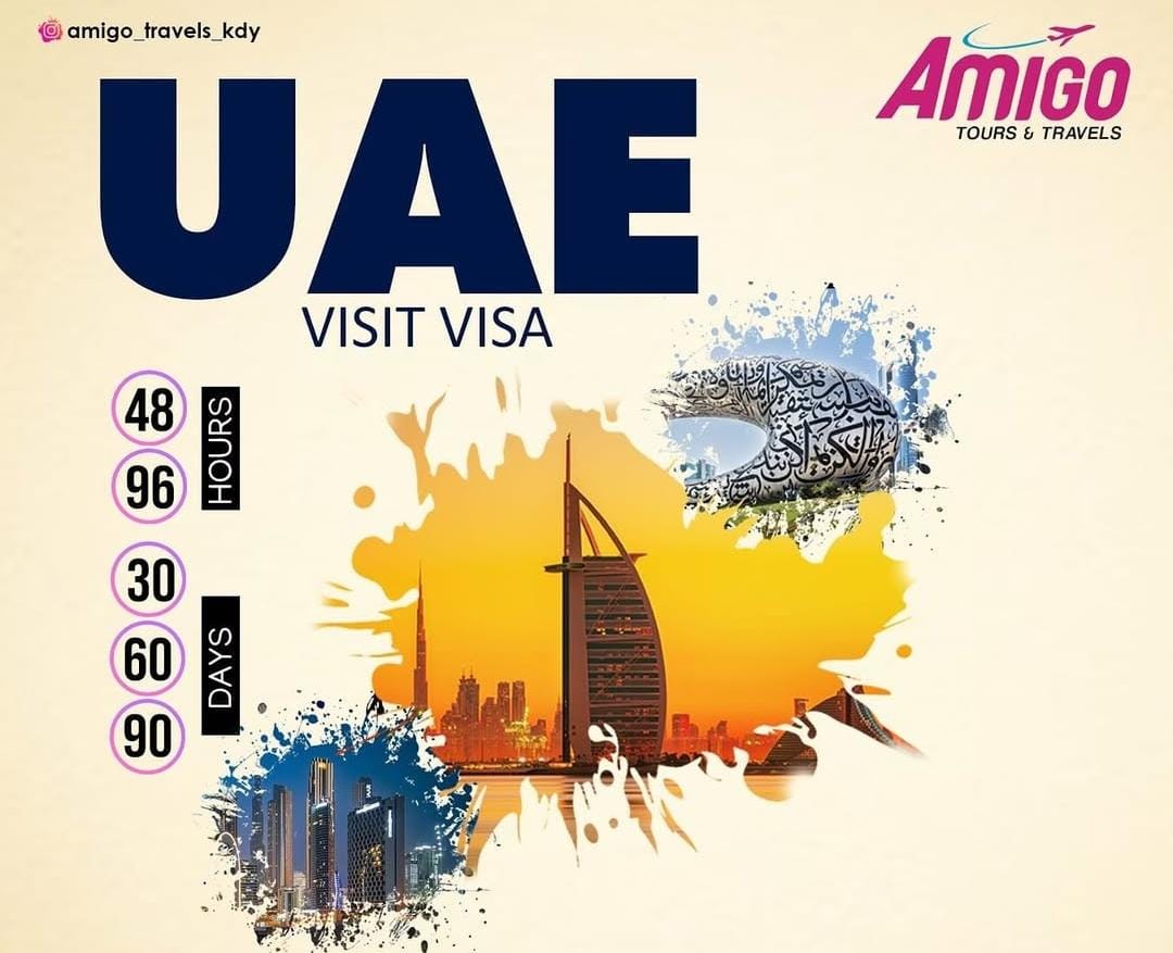 Amigo Tours & Travels
